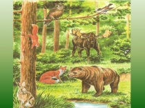 Презентация по окружающему миру на тему Животные леса