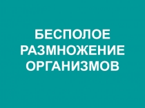 Презентация: Бесполое размножение организмов. 6 класс.