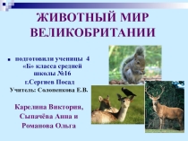 Проектная работа учениц 4 класса по английскому языку Тема: Животные Великобритании