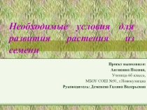 Презентация к проекту Необходимые условия для развития растений