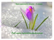 Презентация по русскому языку на тему Род имён существительных
