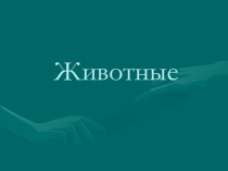 Презентация по окружающему миру на тему  Животные