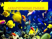 Аквариумные рыбки (средняя группа)