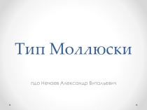 Презентация по теме МлекопитающиеМоллюски