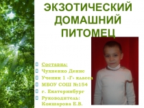 Проект Экзотический домашний питомец