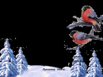 Проект  Зимующие птицы