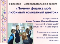 Презентация к проектно-исследовательской работе Почему фиалка мой любимый цветок