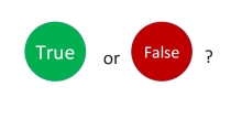 Презентация к игре True or False к уроку английского языка в 3 классе по теме: Правила чтения буквосочетаний ay/ai/oy/oi. Введение и активизация новых лексических единиц с данными буквосочетаниями.