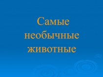 Презентация по окружающему миру Самые необычные животные