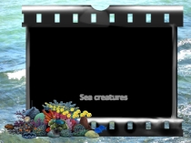 Презентация по английскому языку Across the seas and oceans (sea creatures)