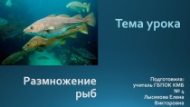 Презентация по естествознанию на тему Размножение рыб