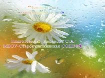 Презентация к празднику Мамы