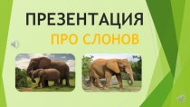 Презентация по окружающему миру Про слонов