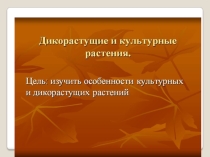 Культурные и дикорастущие растения