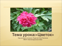 Презентация по биологии на тему Цветок
