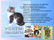 Проект в младшей группе Усатый - Полосатый