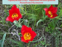 Презентация к уроку по математике Площадь прямоугольника (3 класс)