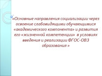 Социализация детей с ОВЗ