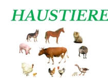 Презентация по немецкому языку на тему Haustiere (5 класс)