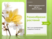 Презентация по окружающему миру на тему Разнообразие растений