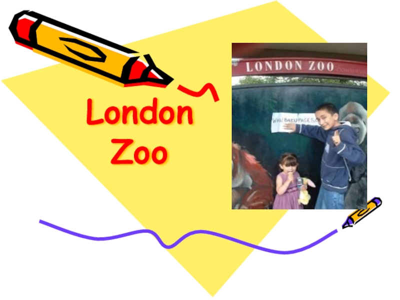 Презентация по английскому языку на тему: London Zoo