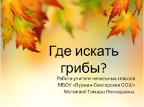 Презентация по окружающему миру Где искать грибы