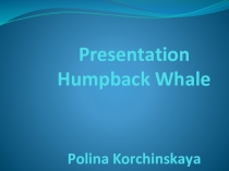Презентация на английском языке о горбатых китах