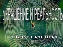 Презентация по темеУкрашение и реальность