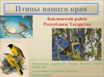 Презентация по биологии на тему: Птицы нашего края, 7 класс.
