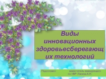 Презентация. Виды здоровьесберегающих технологий