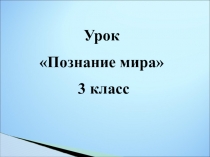 Презентация к уроку познания мира для 3 класса по теме Органы чувств: глаза, уши, нос, язык, кожа. Их роль и значение в жизни.