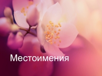Личные и притяжательные местоимения в английском языке