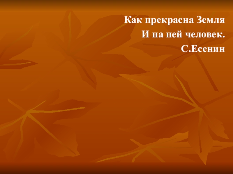 Презентация по литературе на тему Прекрасное рядом с нами по рассказу К. Паустовского Корзина с еловыми шишками. Как прекрасна ЗемляИ на ней человек.С.Есенин Как прекрасна ЗемляИ на ней человек.С.Есенин