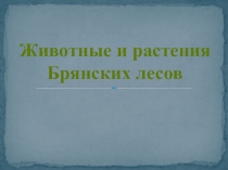 Заповедник Брянский лес для старшего и подготовительного возраста