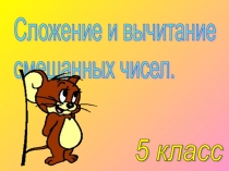 Презентация к урокуСмешанные числа