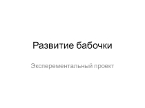 Экспериментальный проект Развитие бабочки