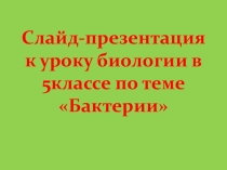 Презентация по биологии на тему: Бактерии