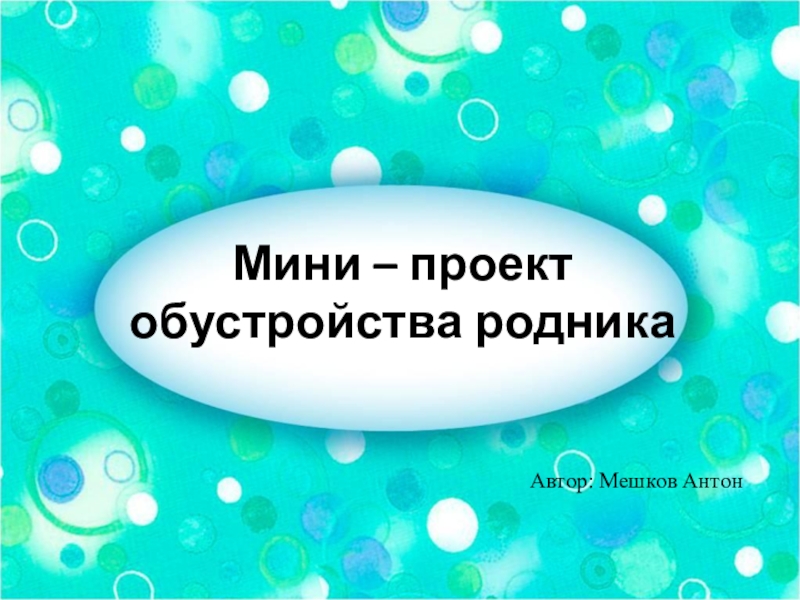 Презентация по экологии на тему Обустройство родника