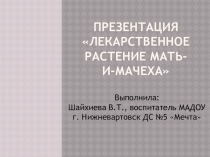Презентация Мать-и-мачеха.Образовательная областьПознавательное развитие