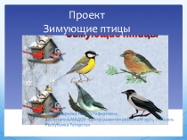 Презентация проекта Птицы зимой