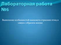 Презентация по биологии на тему Выявление особенностей внешнего строения птиц в связи с образом жизни