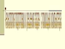 Презентация по информатике не тему Программирование условных алгоритмов(8 класс)
