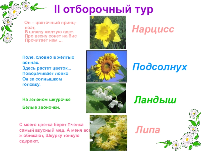 Игра для 1-4 классов Поле чудес II отборочный тур Он – цветочный принц-поэт, В шляпу желтую II отборочный тур Он – цветочный принц-поэт, В шляпу желтую одет. Про весну