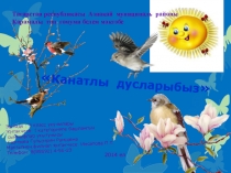 Проектная работа Канатлы дусларыбыз
