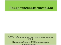 Презентация по домоводству Лекарственные растения (7 класс)