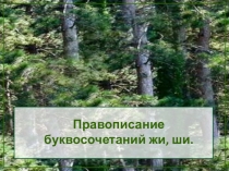 Презентация по русскому языку на тему: Буквосочетания жи-ши