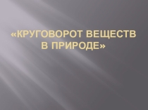 Презентация к уроку Круговорот веществ в природе
