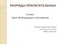 Презентация по русскому языку на тему Разряды прилагательных (6 класс)