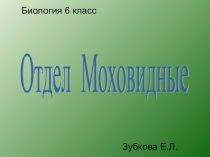 Презентация по биологии на тему Отдел Моховидные 6 класс