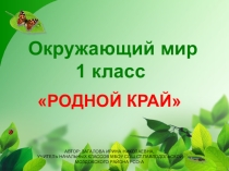 Презентация.Окружающий мир, 1 класс, УМК Школа 21 века. Тема урока: Родной край. Тип урока: открытие новых знаний..